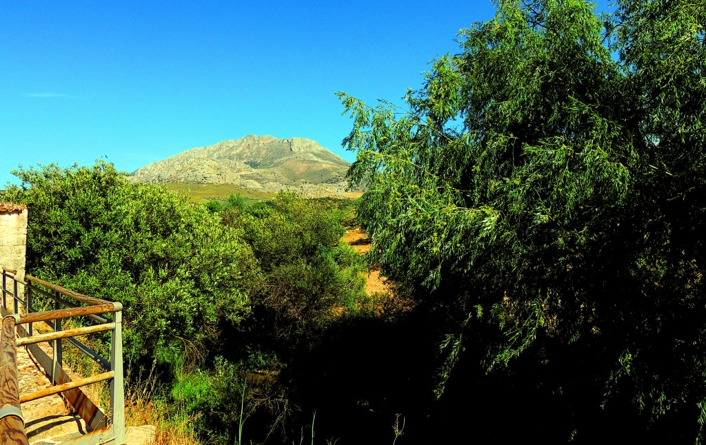 Foto de El Burgo (Málaga), España