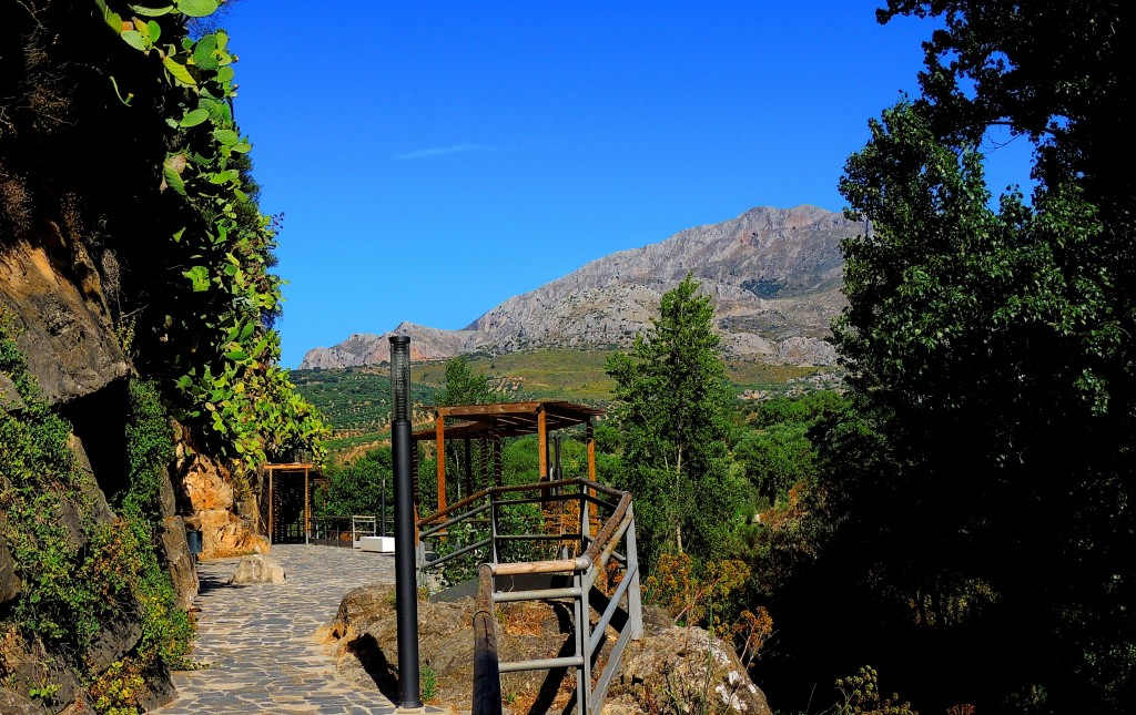 Foto: Sendero de la ribera del Turón - El Burgo (Málaga), España