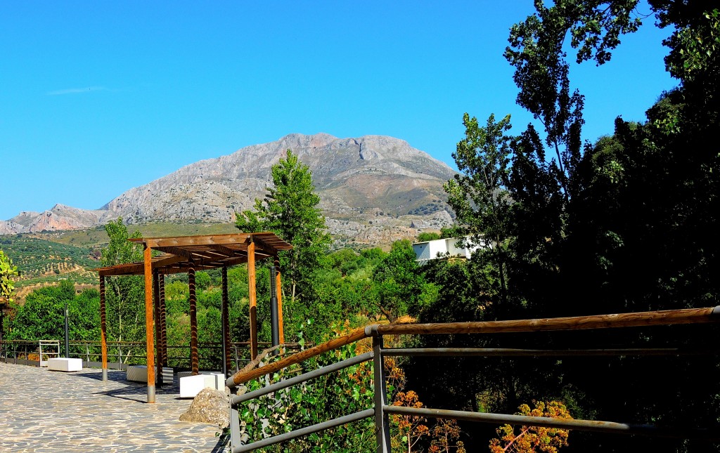 Foto: Sendero de la ribera del Turón - El Burgo (Málaga), España