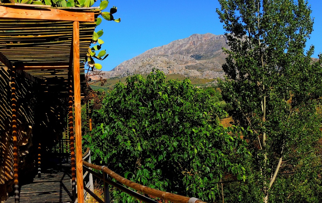 Foto: Sendero de la ribera del Turón - El Burgo (Málaga), España