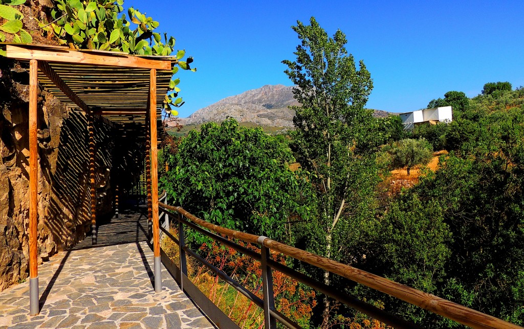 Foto: Sendero de la ribera del Turón - El Burgo (Málaga), España