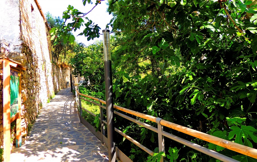 Foto: Sendero de la ribera del Turón - El Burgo (Málaga), España