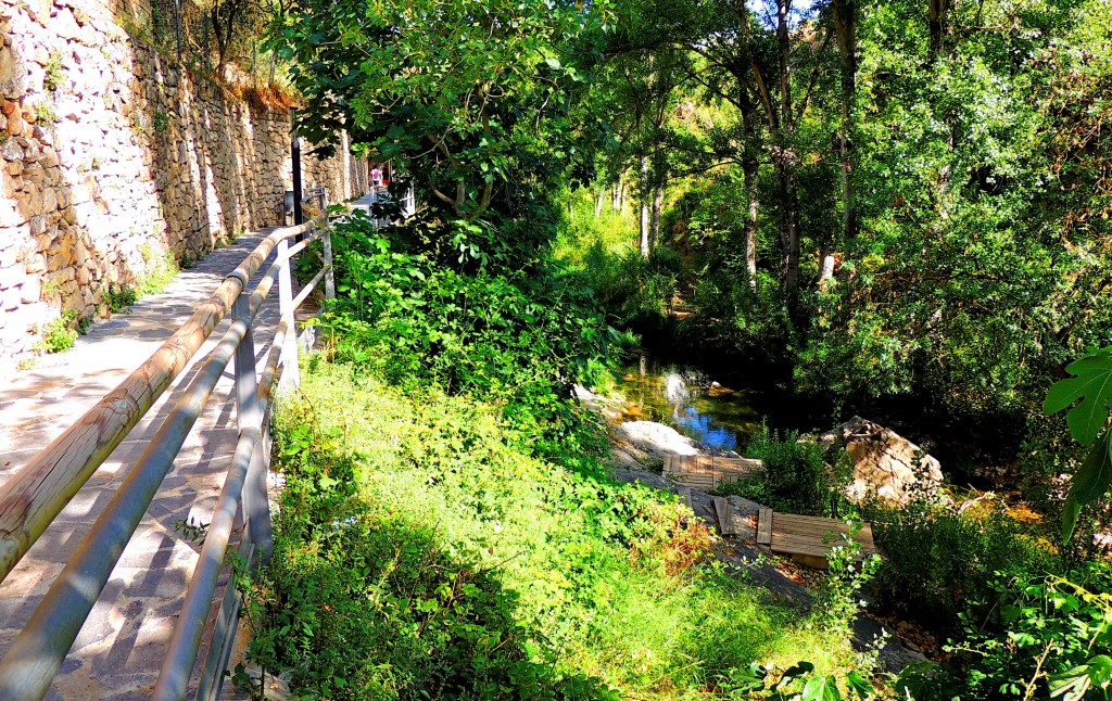 Foto: Sendero de la ribera del Turón - El Burgo (Málaga), España