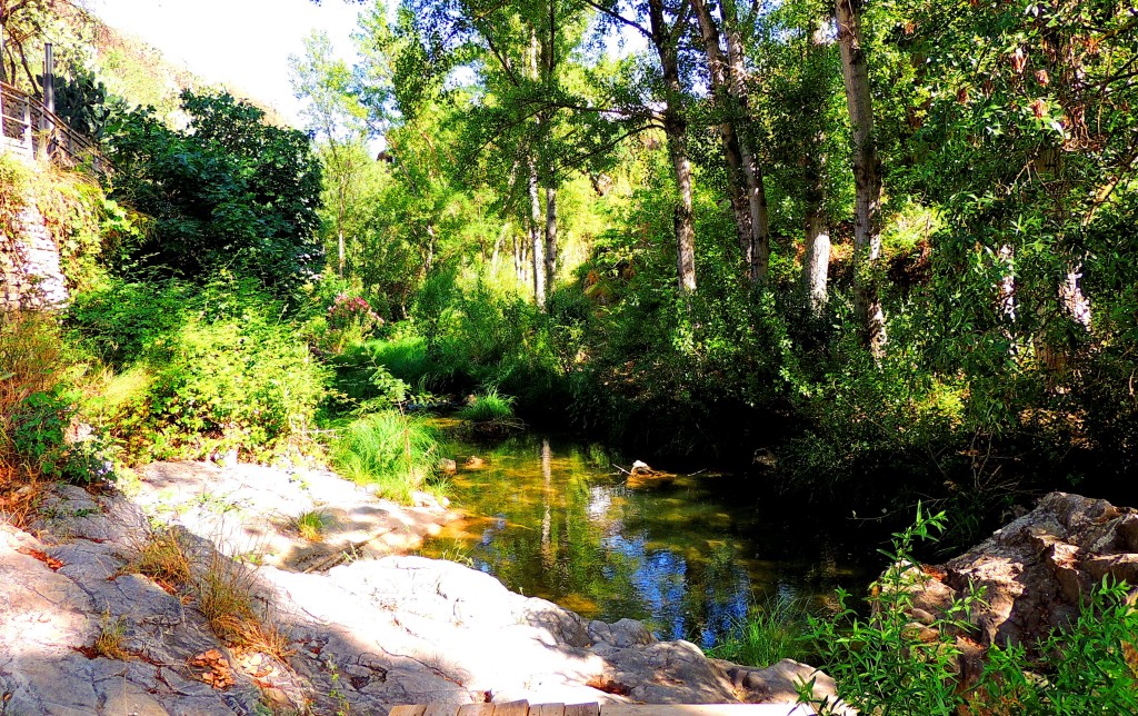 Foto: Sendero de la ribera del Turón - El Burgo (Málaga), España