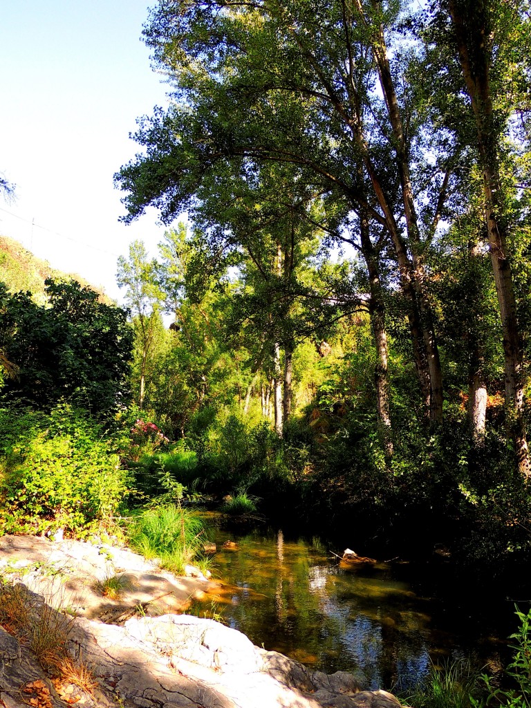 Foto: Sendero de la ribera del Turón - El Burgo (Málaga), España