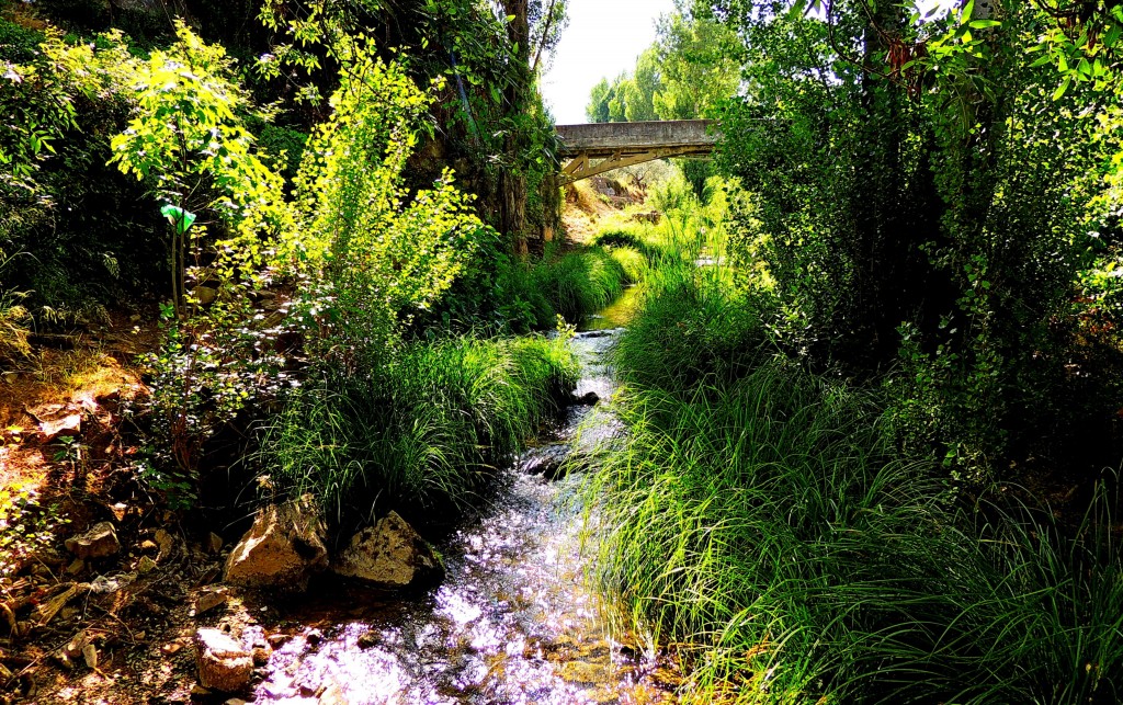 Foto: Sendero de la ribera del Turón - El Burgo (Málaga), España