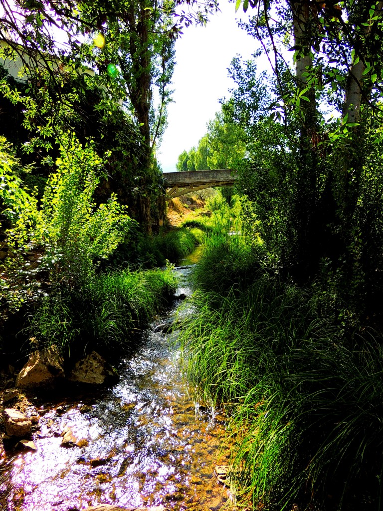 Foto: Río Turón - El Burgo (Málaga), España