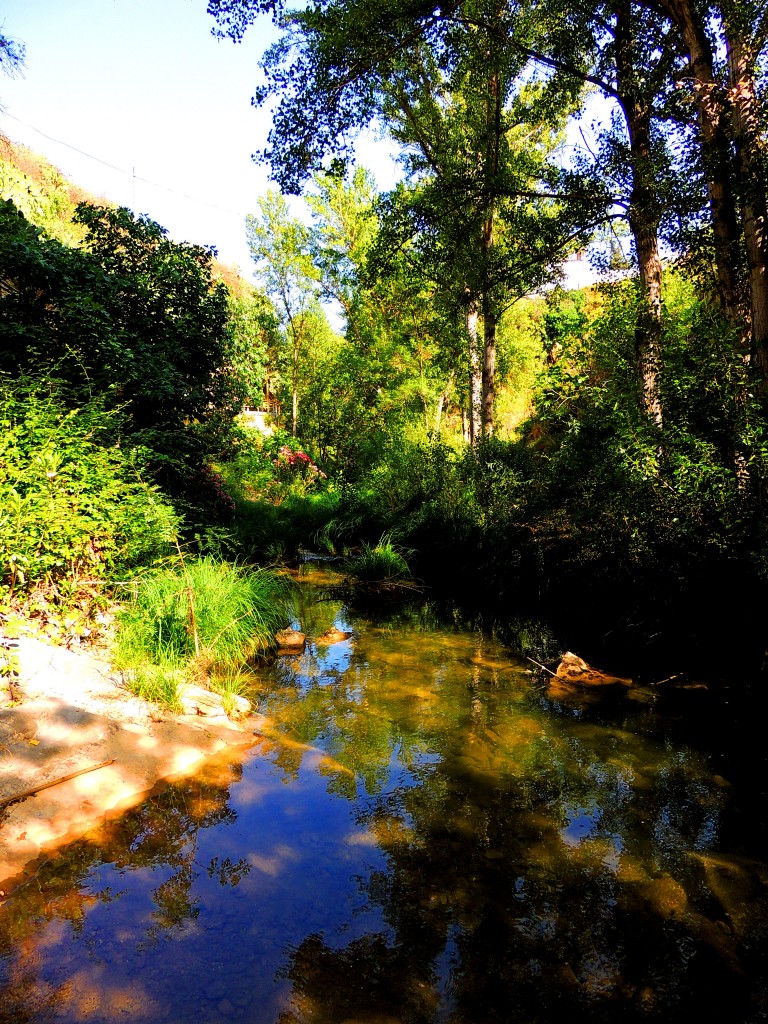 Foto: Río Turón - El Burgo (Málaga), España