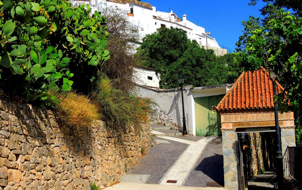 Foto: Rincones - El Burgo (Málaga), España