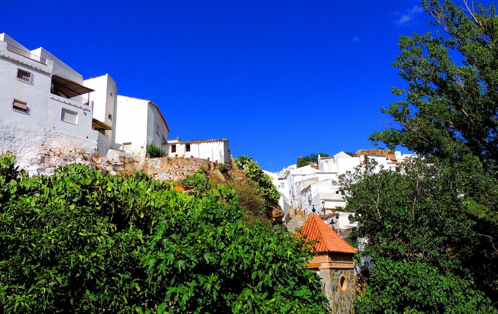 Foto: Entornos - El Burgo (Málaga), España