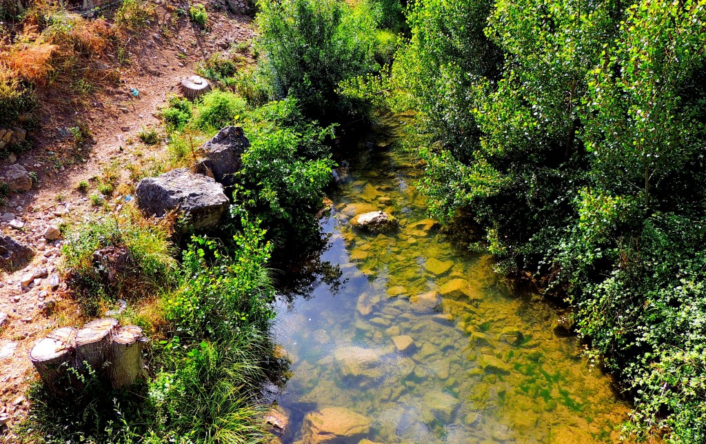 Foto: Río Turón - El Burgo (Málaga), España