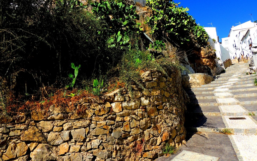 Foto: La Zahurdilla - El Burgo (Málaga), España