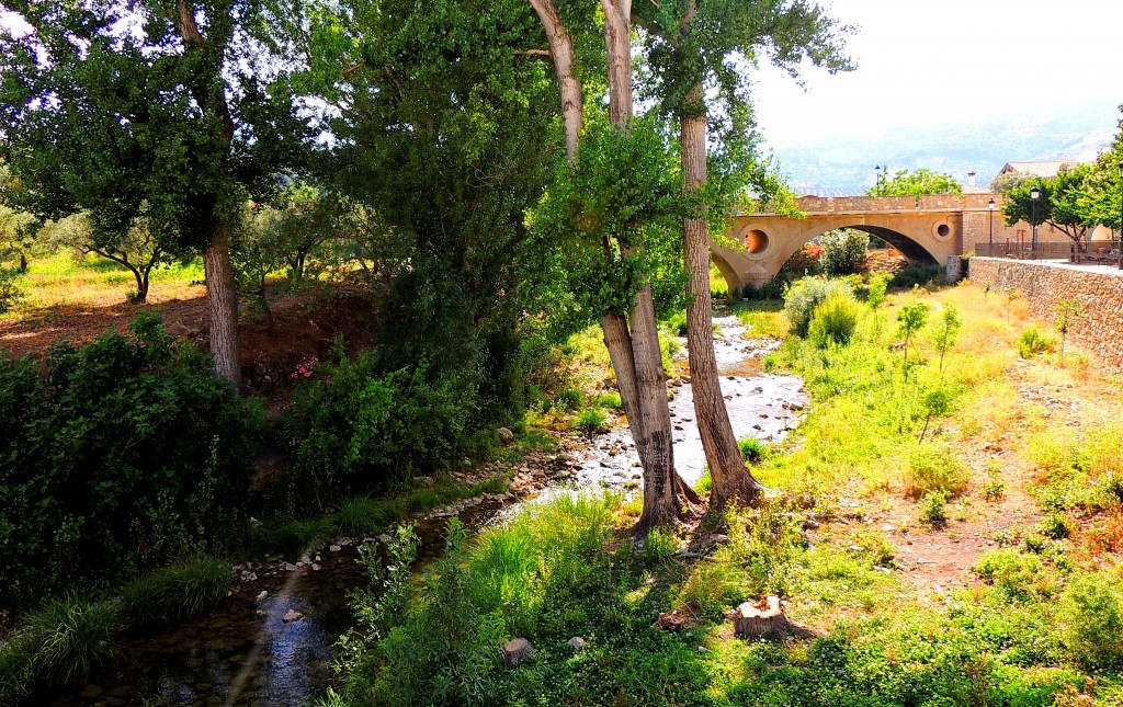 Foto: Río Turón - El Burgo (Málaga), España