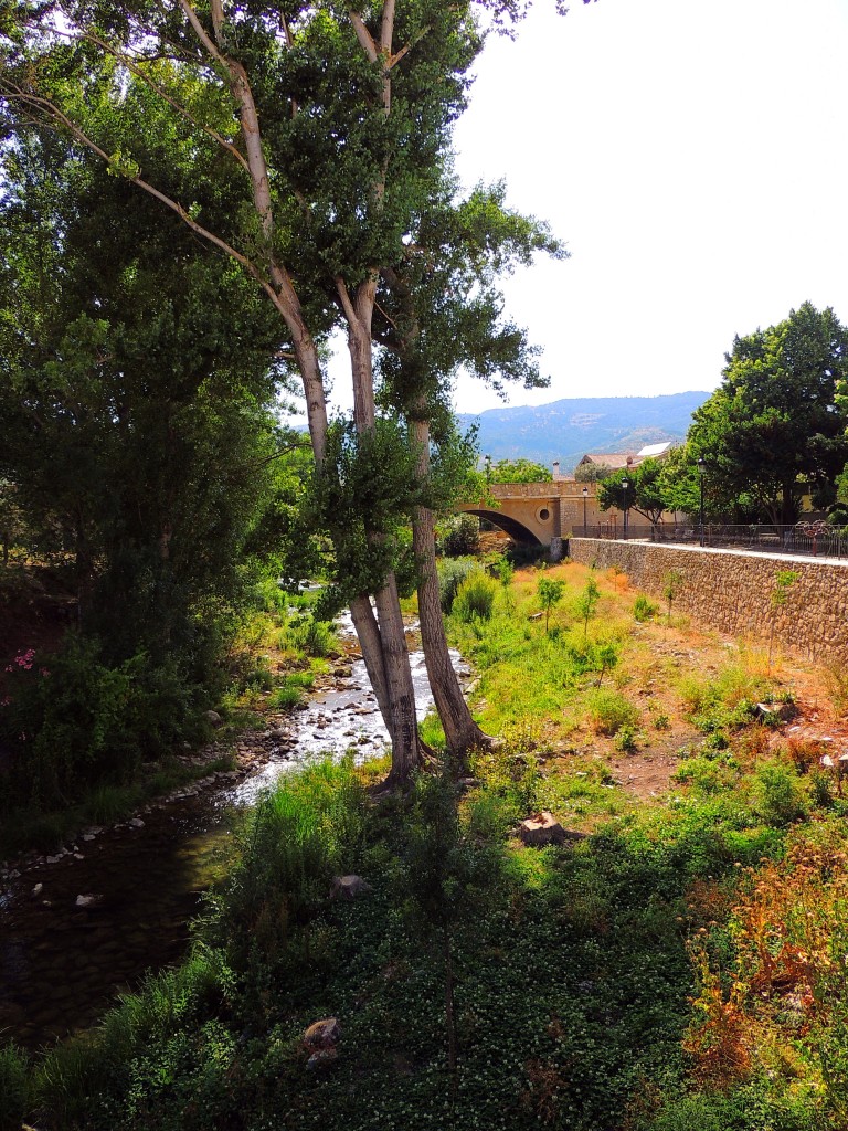 Foto: Río Turón - El Burgo (Málaga), España