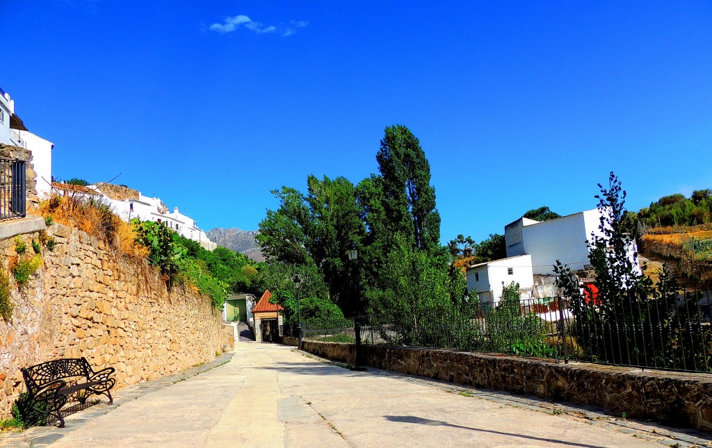 Foto: Hacia la Acequia - El Burgo (Málaga), España