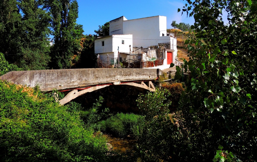 Foto: Puente sobre el Turón - El Burgo (Málaga), España