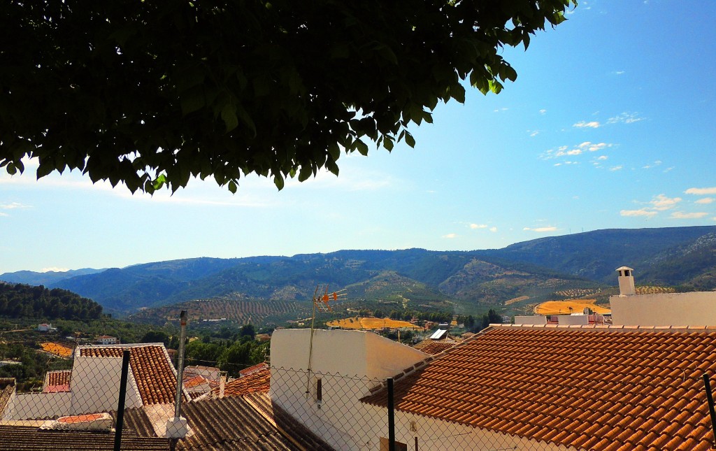 Foto: Vistas - El Burgo (Málaga), España