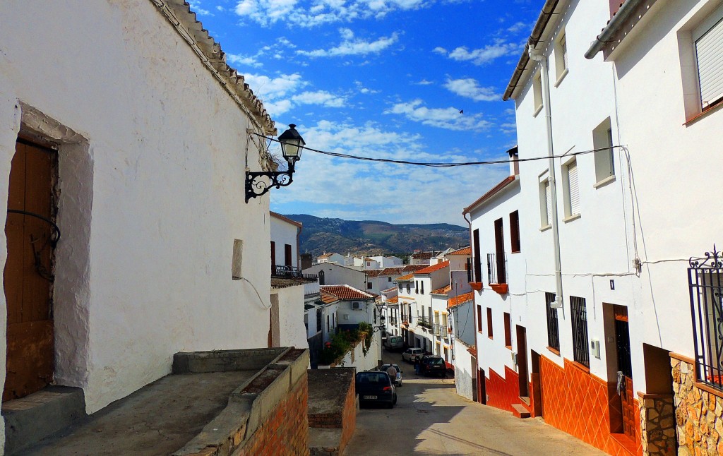 Foto: Calle Pretil - El Burgo (Málaga), España