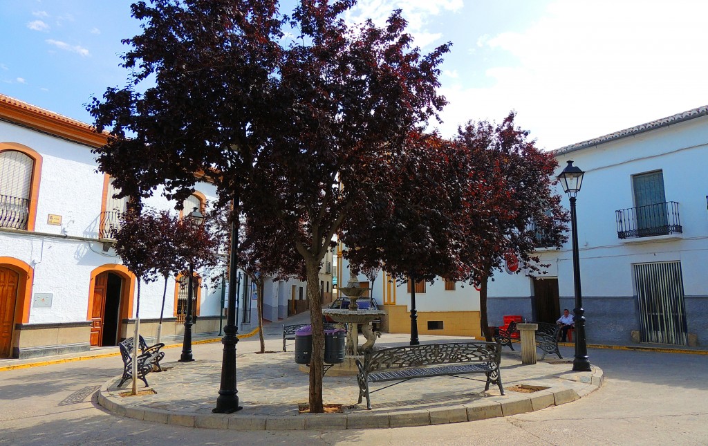 Foto: Plaza de Arriba - El Burgo (Málaga), España