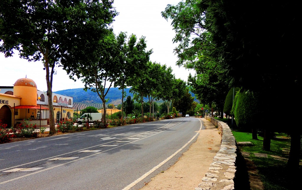 Foto: Travesía - El Burgo (Málaga), España