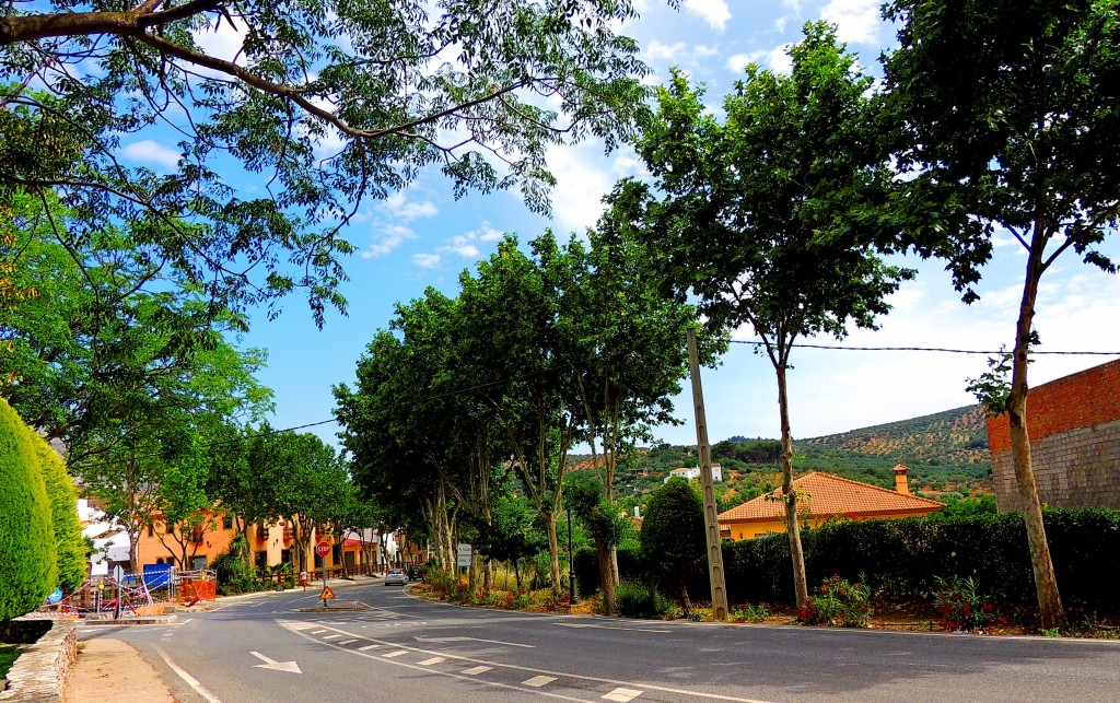 Foto de El Burgo (Málaga), España