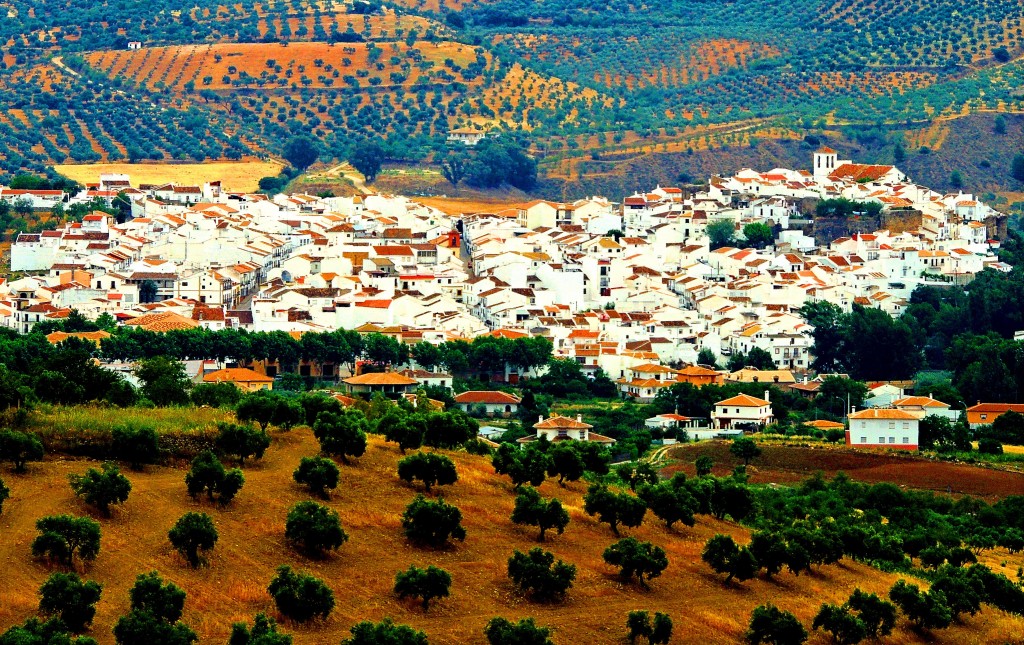 Foto de El Burgo (Málaga), España