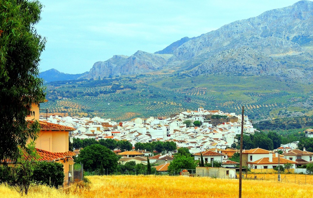 Foto de El Burgo (Málaga), España