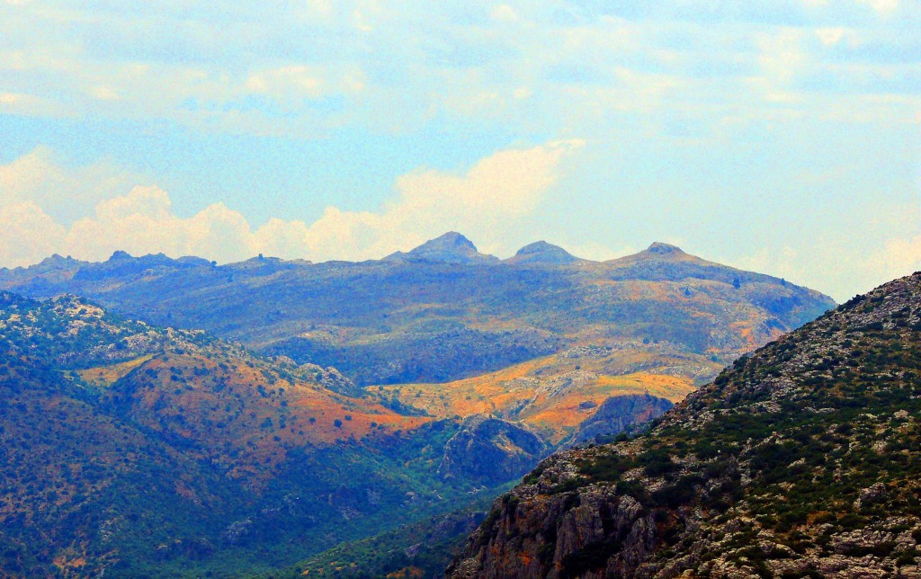 Foto: Sierra de la Hidalga - El Burgo (Málaga), España