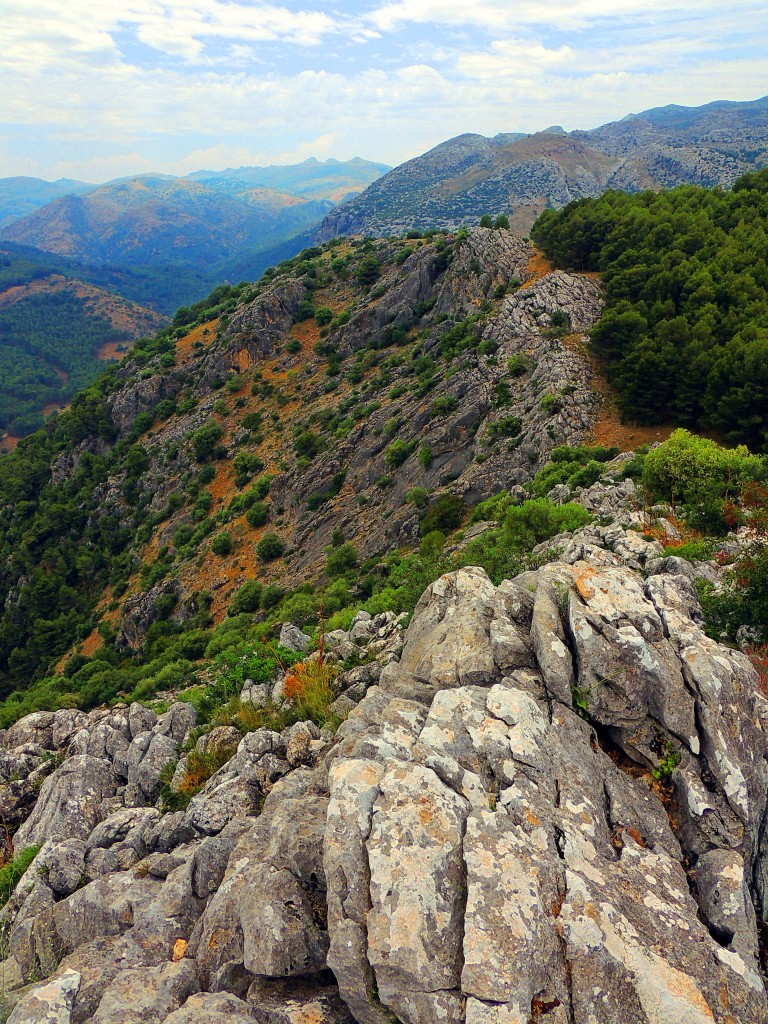 Foto de El Burgo (Málaga), España