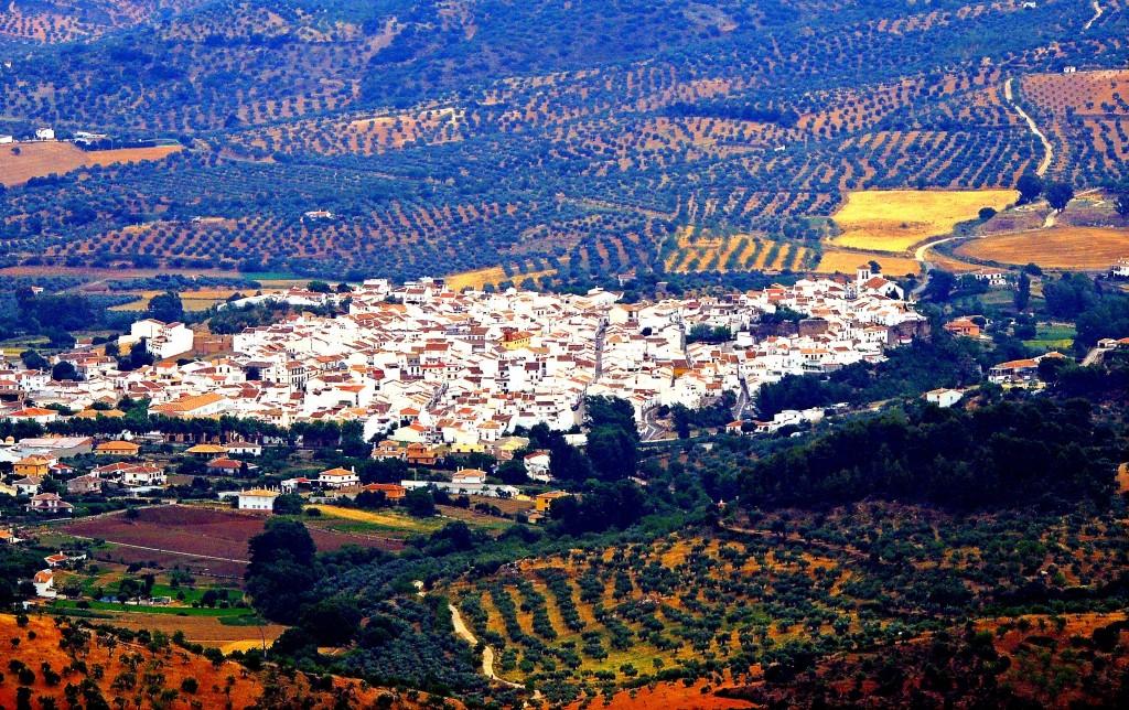 Foto de El Burgo (Málaga), España