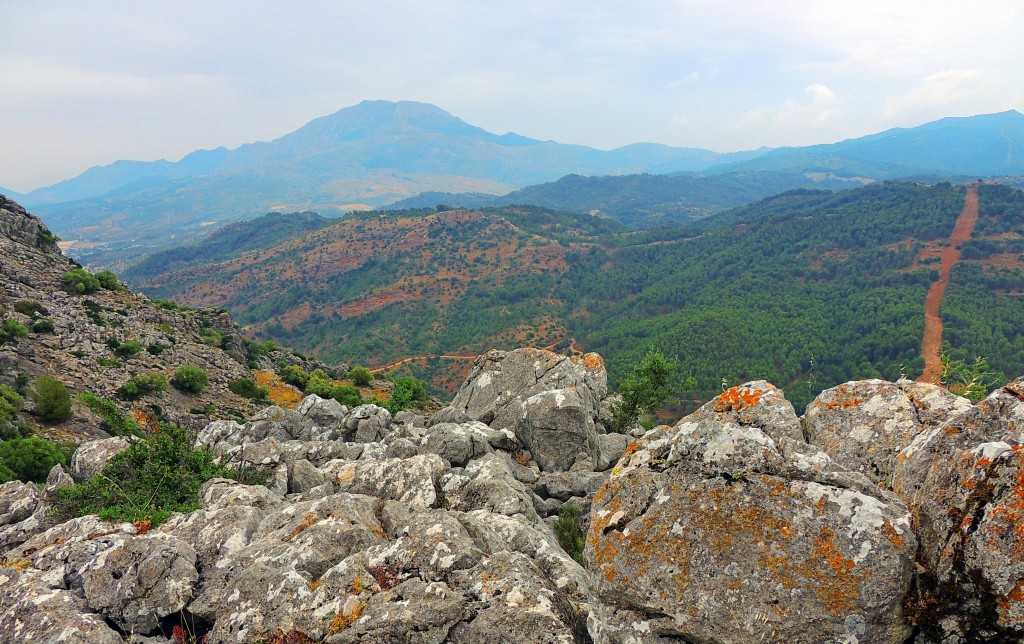 Foto de El Burgo (Málaga), España