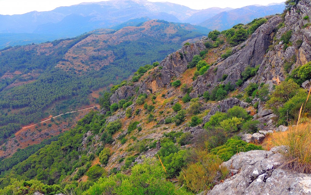 Foto de El Burgo (Málaga), España