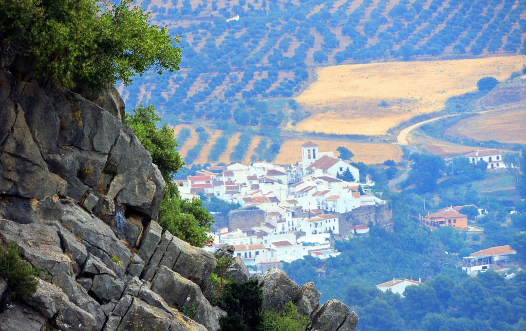 Foto de El Burgo (Málaga), España