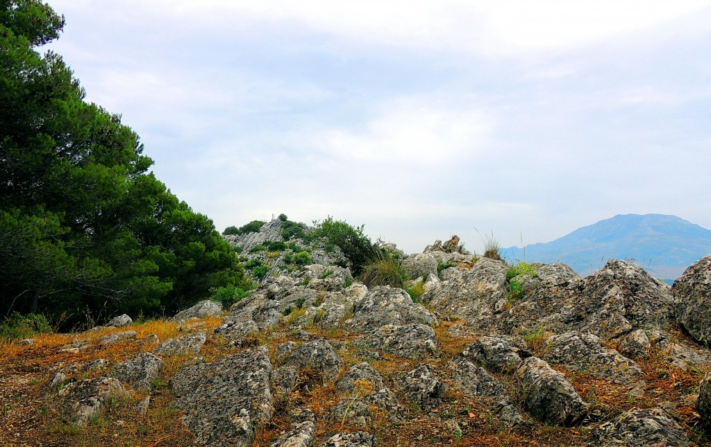 Foto: Subida al Mirador - El Burgo (Málaga), España