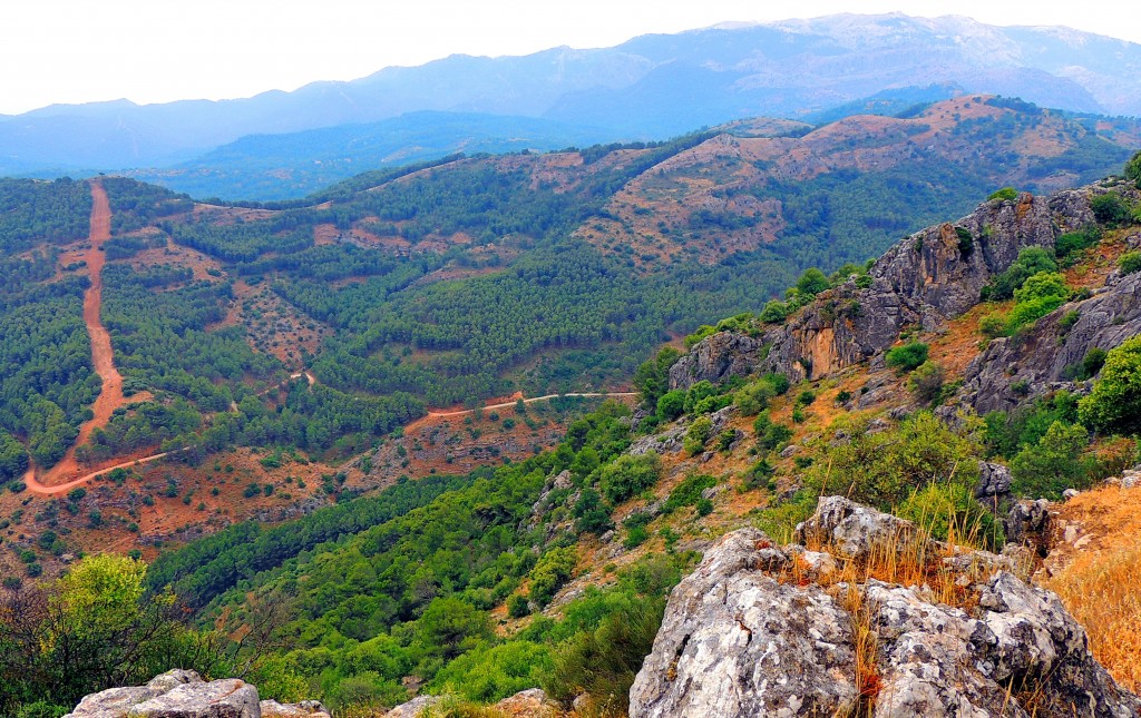 Foto: Parque Natural - El Burgo (Málaga), España