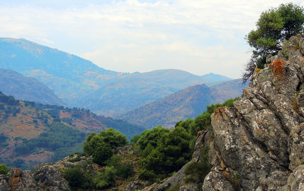 Foto: Reserva de la Biosfera - El Burgo (Málaga), España