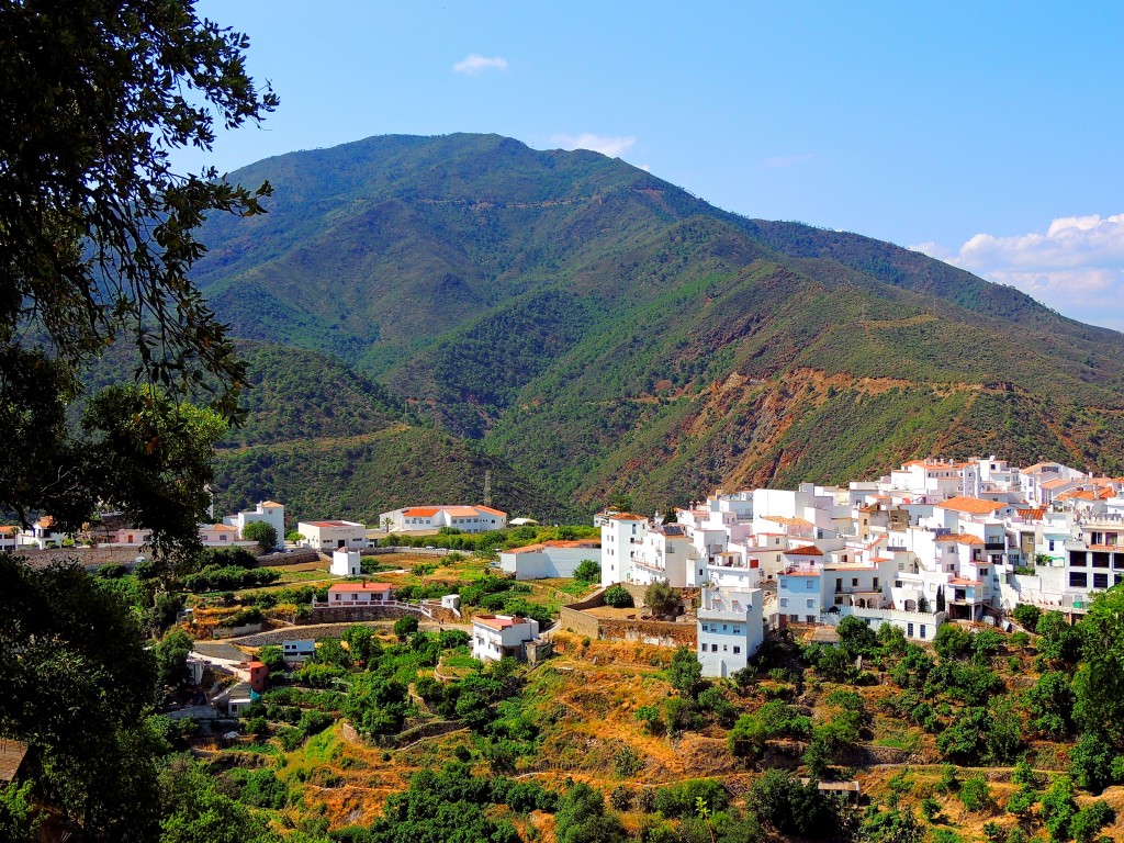 Foto: Parte Baja de Istán - Istán (Málaga), España