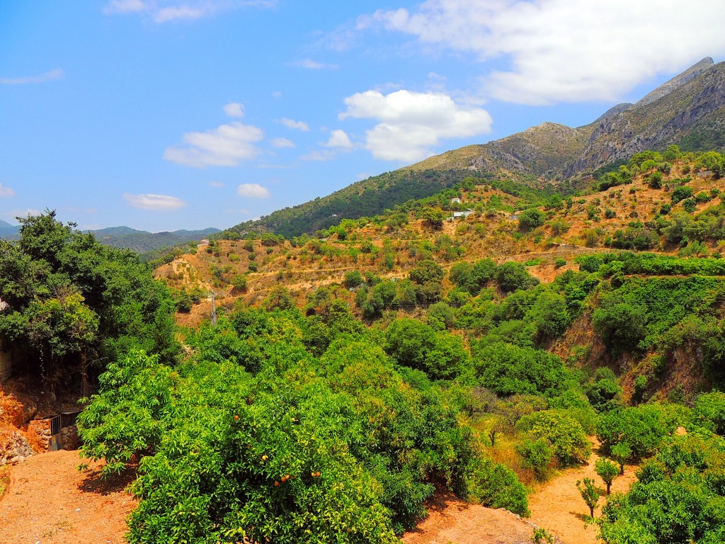 Foto: Cuenca del Río Molinos - Istán (Málaga), España