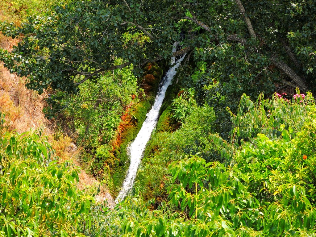 Foto: La Cascada - Istán (Málaga), España