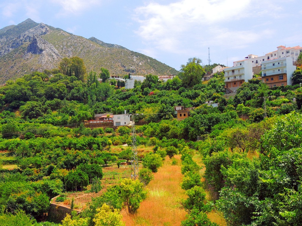 Foto: Las Huertas - Istán (Málaga), España