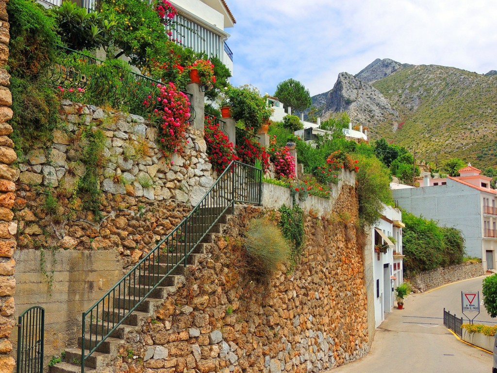 Foto: Bonitas casas - Istán (Málaga), España