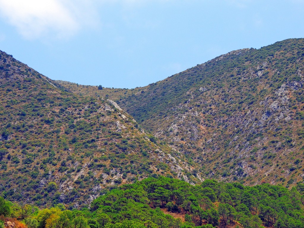 Foto: Cañada de Maiz Sanchez - Istán (Málaga), España