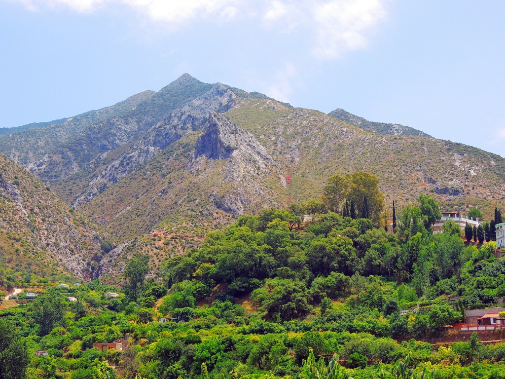 Foto: Sierra Blanca - Istán (Málaga), España