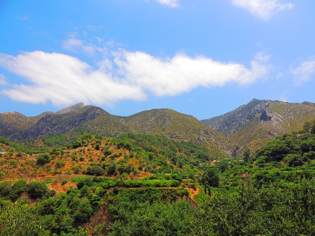 Foto: Sierra de la Nieves - Istán (Málaga), España