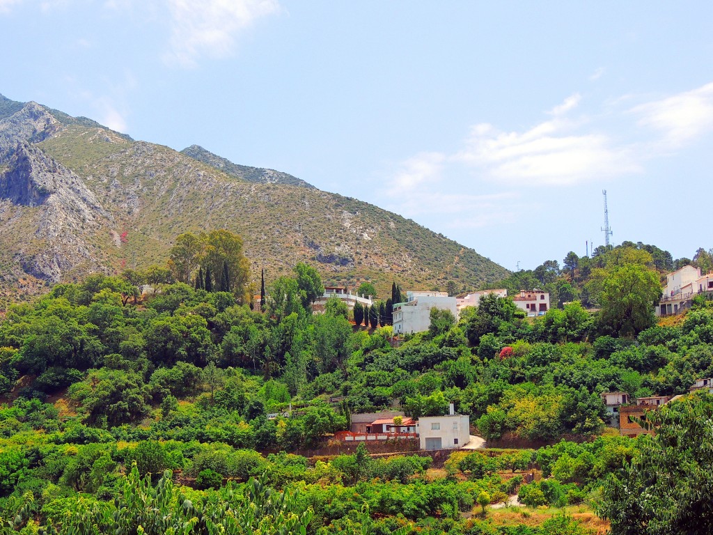 Foto: Pecho de los Pilones - Istán (Málaga), España