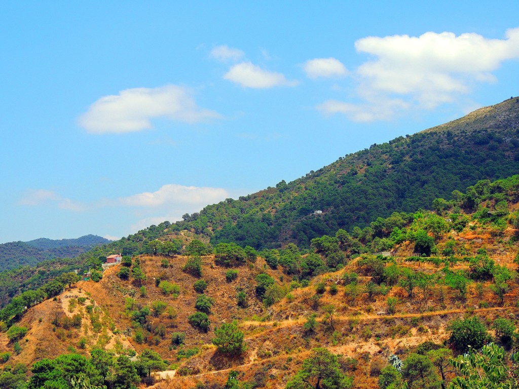 Foto: Loma del Tagardillo - Istán (Málaga), España