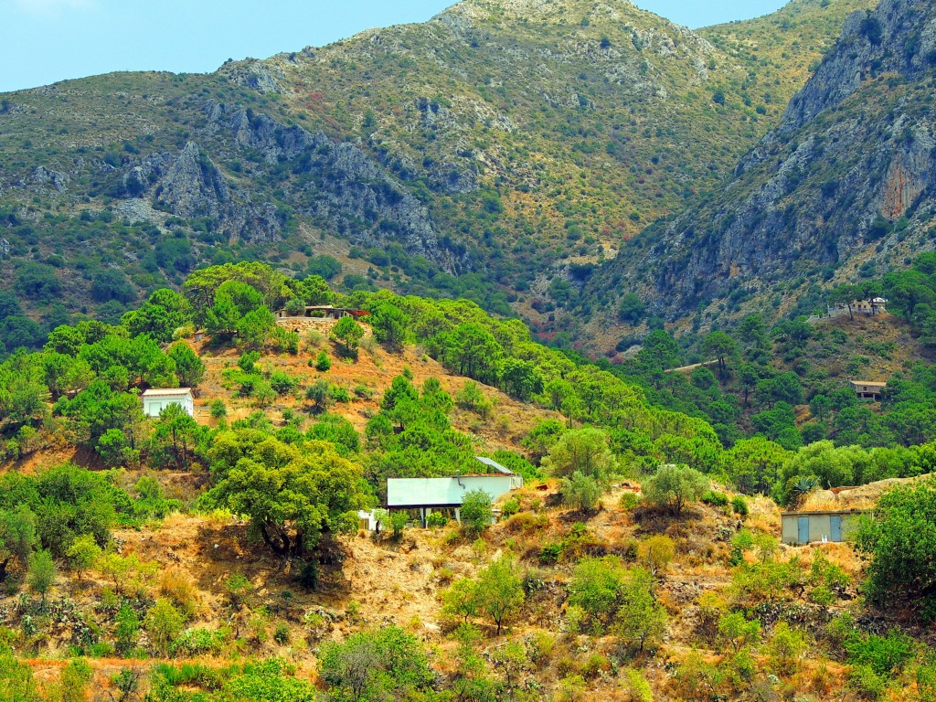 Foto: Cañada de la Zaina - Istán (Málaga), España