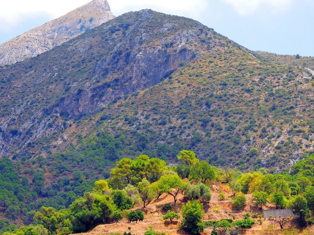 Foto: Loma de la Viña - Istán (Málaga), España