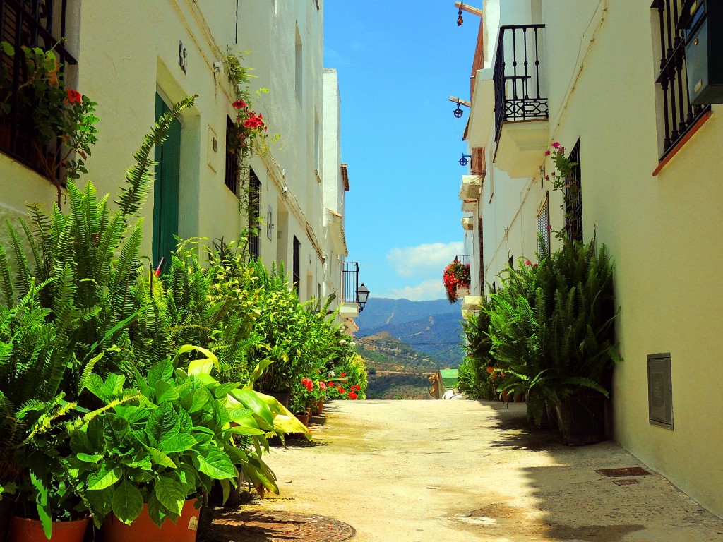 Foto de Istán (Málaga), España