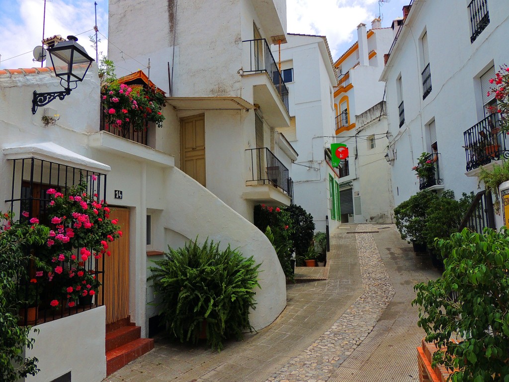 Foto: Motivos Florales - Istán (Málaga), España